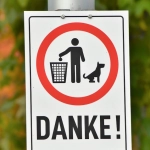 Немецкие игорные платформы и регулирование онлайн-казино