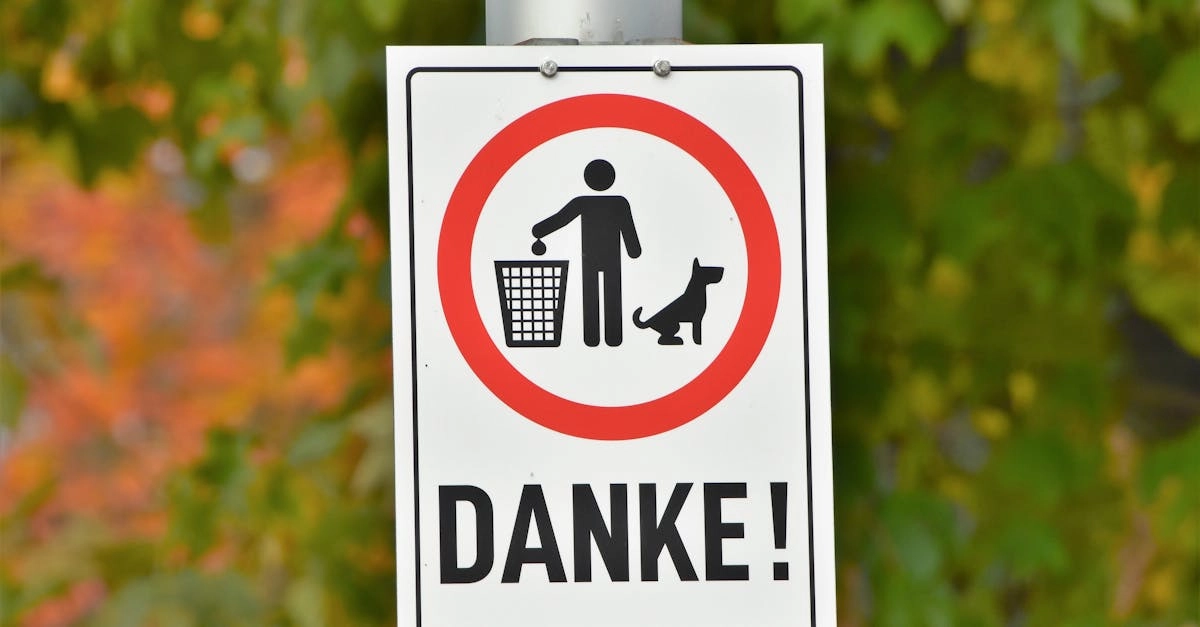 Немецкие игорные платформы и регулирование онлайн-казино