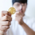 Технический анализ игровых механик слота Wolf Gold