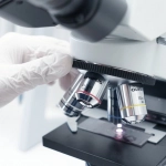 Независимый анализ игровых механик Gates of Olympus 1000