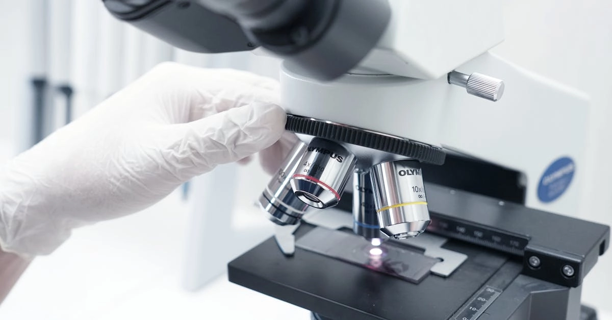 Независимый анализ игровых механик Gates of Olympus 1000