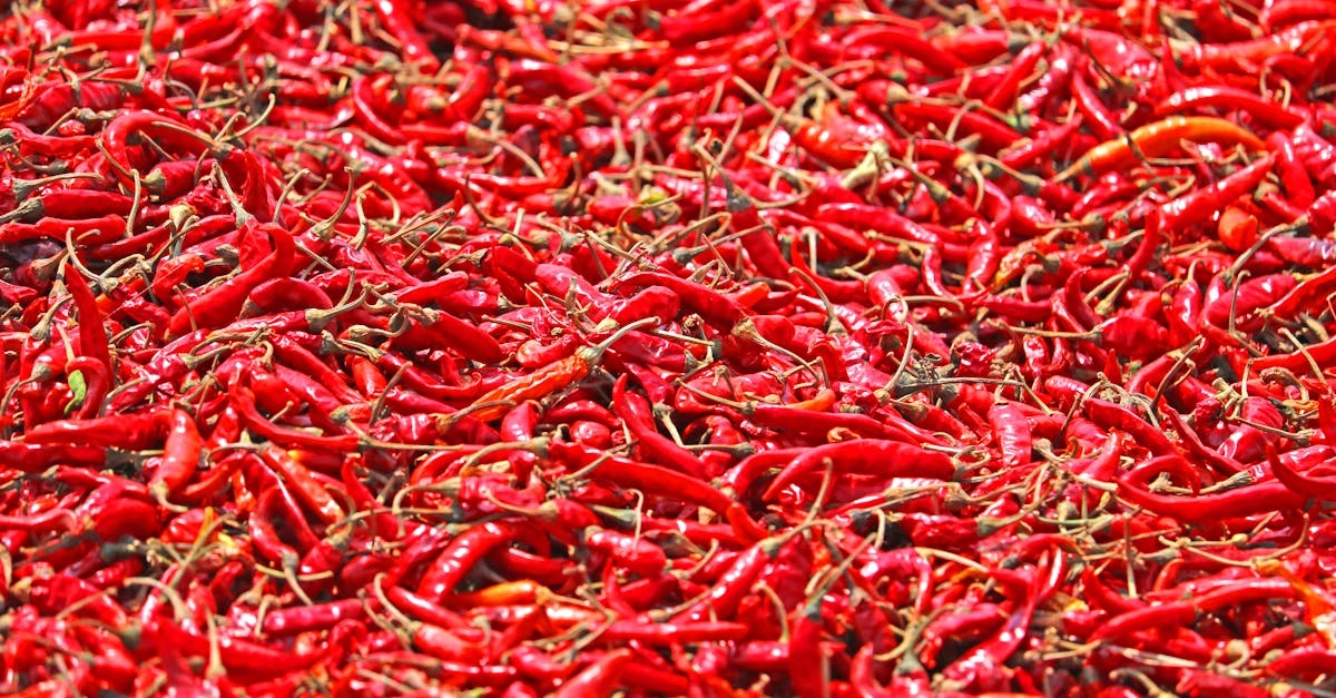 Автономный анализ слота Chilli Heat Megaways интерфейс