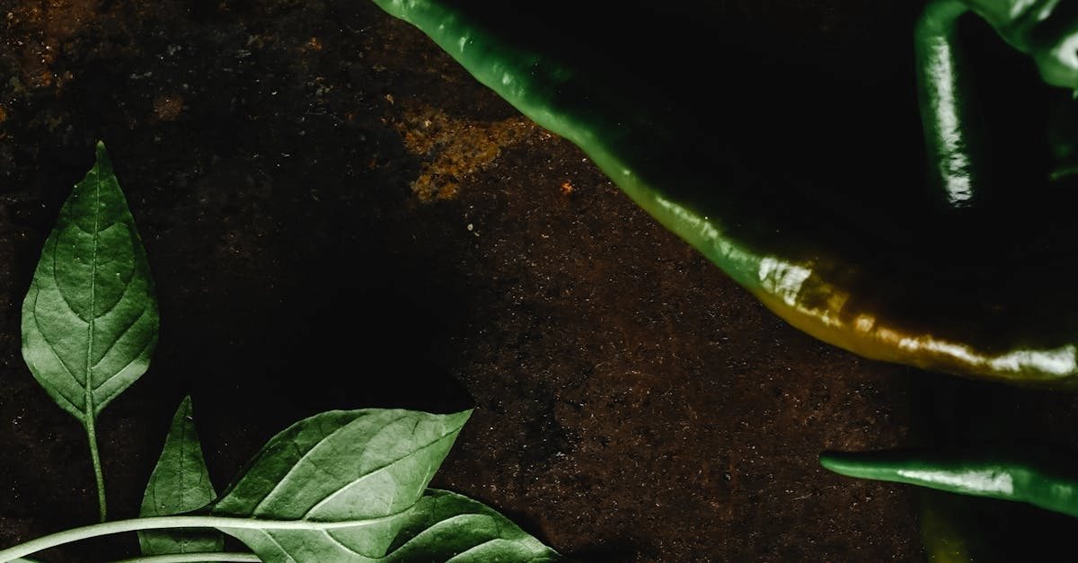 Игровые механики слота Hot Chilli с острым перцем